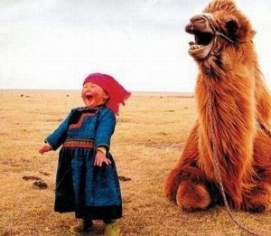 laughing camel and little girl